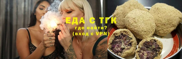 гидра Богородск