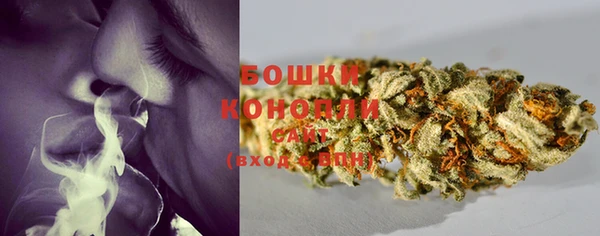 гидра Богородск