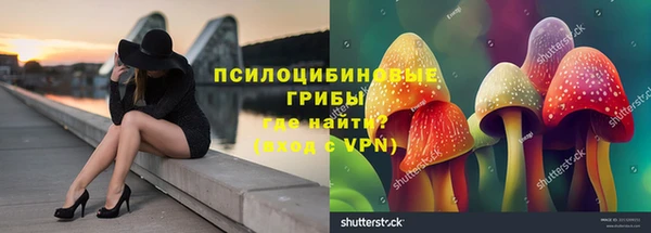 круглые Богданович
