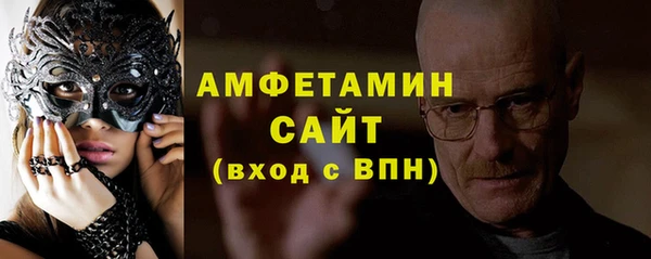 гидра Богородск