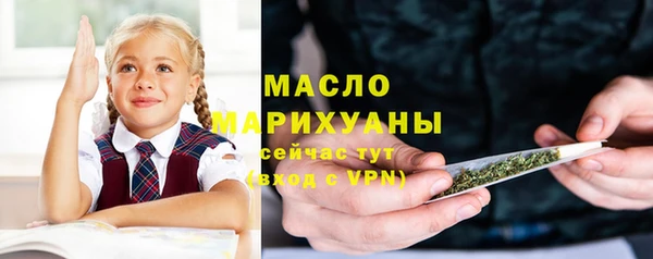 гидра Богородск
