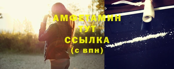 гидра Богородск