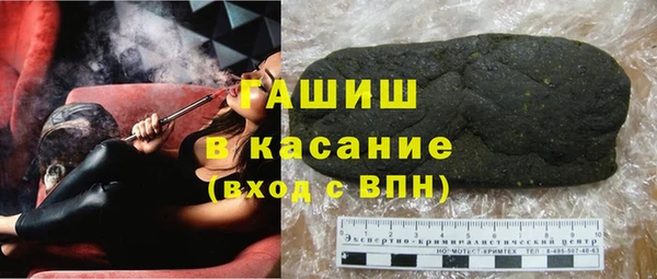 гидра Богородск