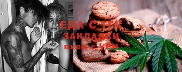 гидра Богородск