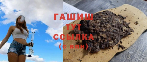гидра Богородск