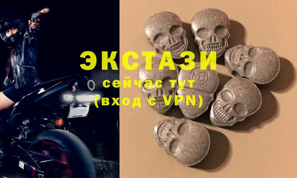 гидра Богородск