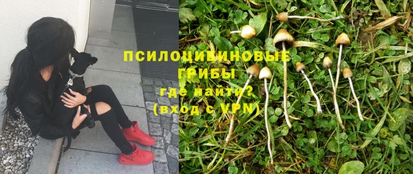 круглые Богданович
