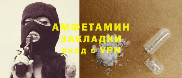 гидра Богородск